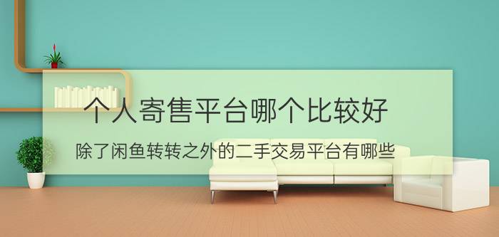 个人寄售平台哪个比较好 除了闲鱼转转之外的二手交易平台有哪些？